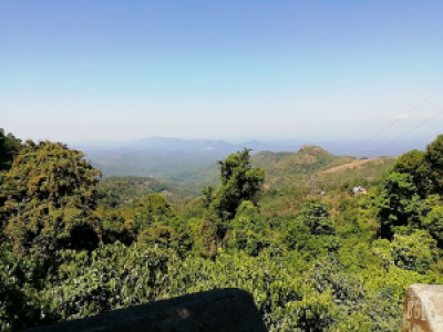 Profile photo for Laila Nafih