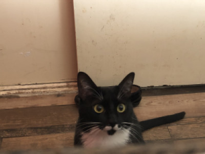 Profile photo for María Fernanda Díaz