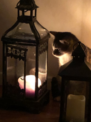 Profile photo for Eric Rebello-Pradas