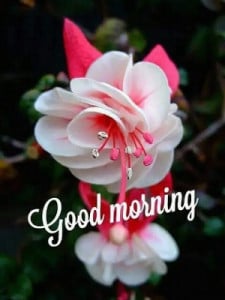 Profile photo for Bharti K