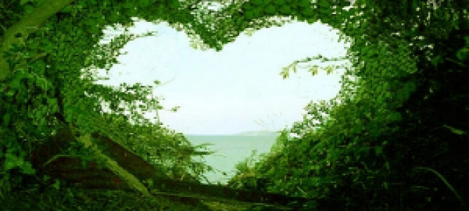 Profile photo for Anju Binu