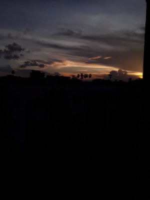 Profile photo for Shafna subair