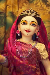 Profile photo for Tanshu Mehra