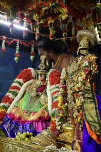 Profile photo for Meenalochani SL