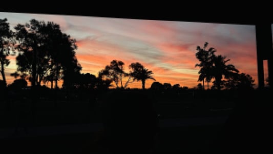 Profile photo for Somia somia