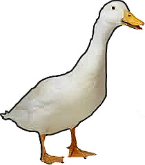 Profile photo for Joseph Fagan