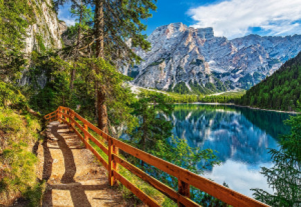 Profile photo for selmanerafik selmanerafik