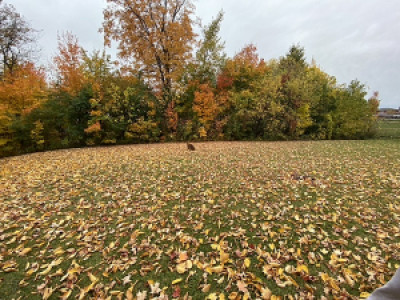 Profile photo for Glenda Galarza