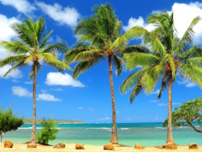 Profile photo for F S