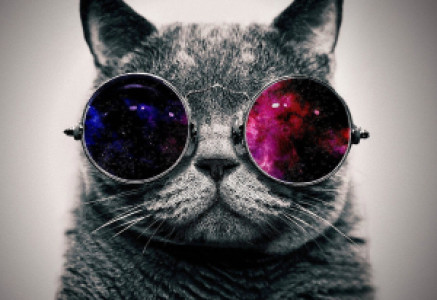 Profile photo for Omar Mohammed Farouk Al-Belbesy