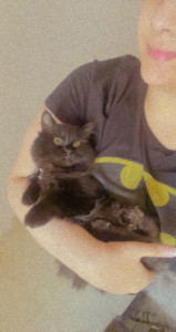 Profile photo for Aysha mattar