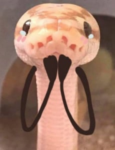 Profile photo for Erika Erika