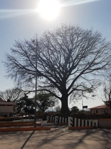 Profile photo for Alberto Vazquez