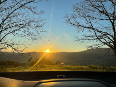 Profile photo for Lella f