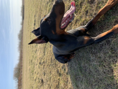 Profile photo for Justin Ulbin