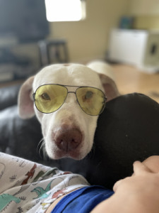 Profile photo for Chris Postle