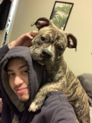 Profile photo for Edson Gudino