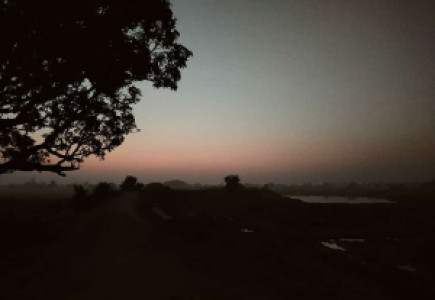 Profile photo for Tejaswini Battu