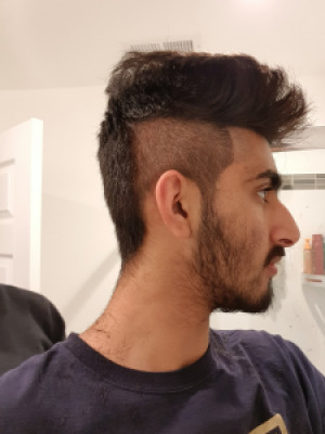 Profile photo for Vishav Singh