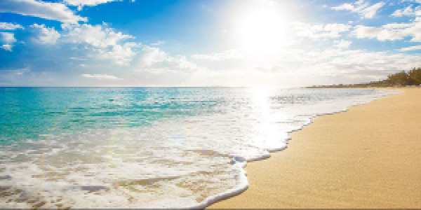 Profile photo for asd asd