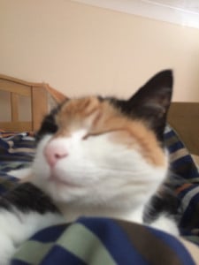 Profile photo for Markus Lewis