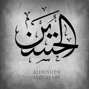 Profile photo for Alhussien mohamed algohary