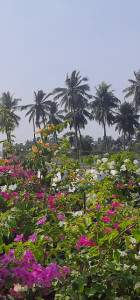 Profile photo for Vj's Art