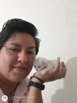 Profile photo for María Ivonne Cussin Noriega