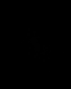 Profile photo for Artem tere