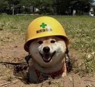 Profile photo for Badis Sai