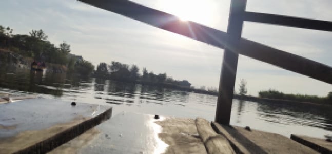 Profile photo for Swayam Mukesh Nawal