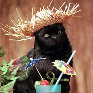 Profile photo for Natalie Kow