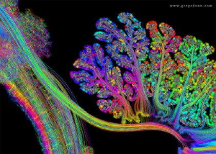 Profile photo for Abderraouf BOUCHENE