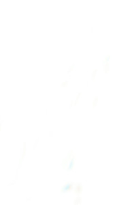 Profile photo for Rins .