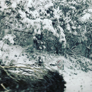 Profile photo for Stuart Luo