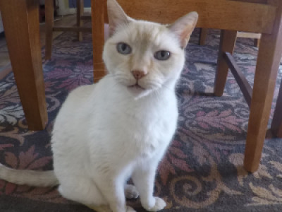 Profile photo for John Dow