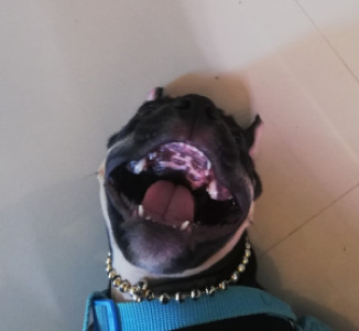 Profile photo for KIRT ryan