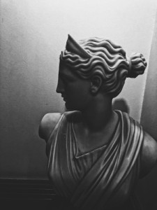 Profile photo for Shada Q