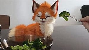 Profile photo for Randall Stovall