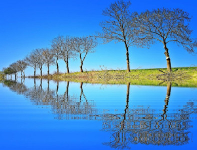 Profile photo for Le Sy Hung