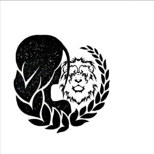 Profile photo for Naila Rizwan