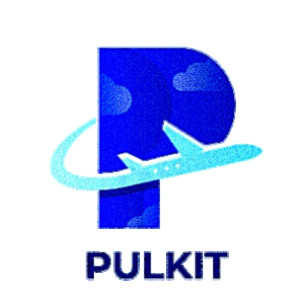 Profile photo for Pulkit chauhan