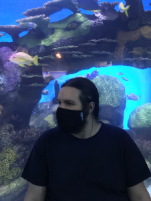 Profile photo for Ely Lewis Young