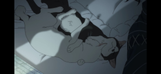 Profile photo for Maria Jackson