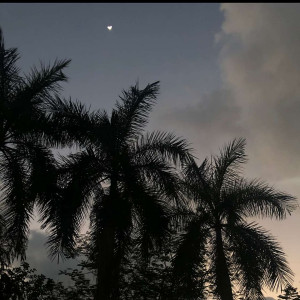 Profile photo for Komal Komal