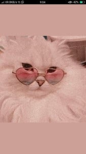 Profile photo for Sona Sabari