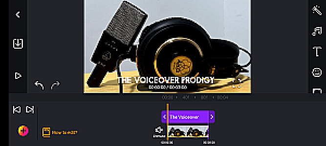 Profile photo for The Voice Over Prodigy
