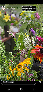 Profile photo for Mashaika Dheen