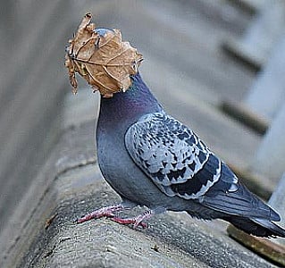 Profile photo for Ethan White