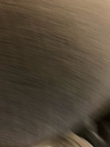 Profile photo for X X